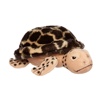 Adopt a Turtle | WWF Animal Adoptions from £3.00 a month