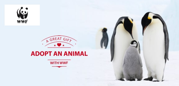 WWF Adopt an Animal Animal Adoptions from just £3 00 per month