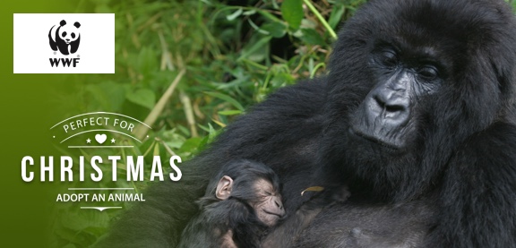 Adopt a Mountain Gorilla