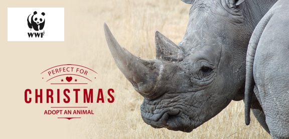 Adopt a Rhino