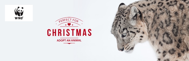 Adopt a Snow Leopard