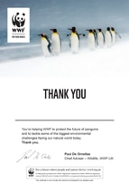 Adopt a Penguin WWF Animal Adoptions from £3 00 a month